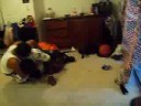 fat man boog vs shane