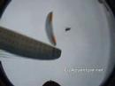 Paragliding / Parapente Peru Tandem Flight