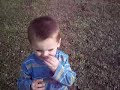 Logan in yard March 6 2007