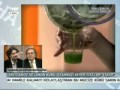 İbrahim Saraçoğlu - Maydanoz Kürü