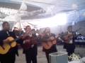 videos de Grupo Musico Vocal Del Recuerdo - Perfume De Gardenias
