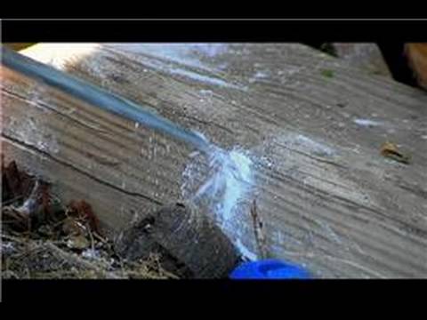 how to treat outside for fleas