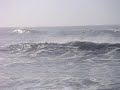 Eddie Aikau 3