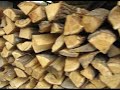 WoodSpeckert