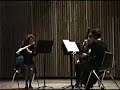 university of akron student flute/clarinet/bassoon wind trio playing walter piston's three pieces. 

lisa thomas, flute
heidi aufdenkamp, clarinet
palmer shepherd, bassoon