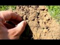 La Montagne aux Monnaies - Détection Kevicar