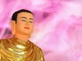 Hạnh phúc trong tầm tay - Thích Nhật Từ