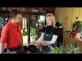 I liked a @YouTube video from @growingwisdom http://t.co/JEFzNzmg Cut Flower Fun! How to Create a Beautiful Cent