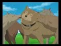 anime.html