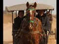 Mennonite in Argentine