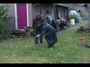Random Video