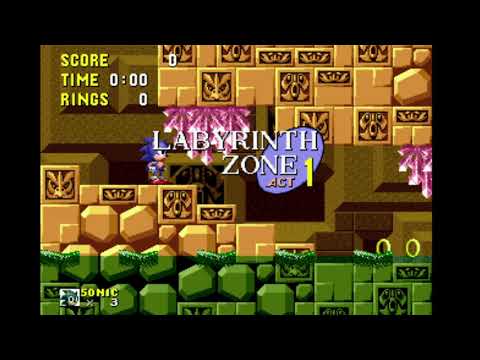 動画
