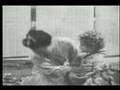 Anna Moffo sings Butterfly (vaimusic.com)