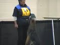 Inaugural AKC WDS3 Obedience Nick-Nic von Sontausen