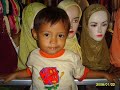 brebes
