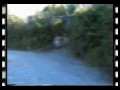 La Tana Del Sorcio - Pura Vigna