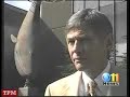 local cbs affiliate reports on palin