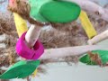 The Bird Room