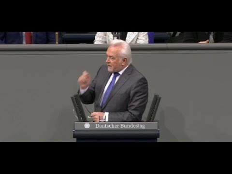 Wolfgang Kubicki (FDP): Bundestagsdebatte um Yücel „In ...