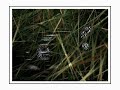 Rechenzentrum - \