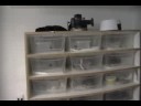 Intro To MattZ BallZ Snake Room!!!
