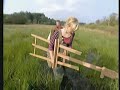 Waders in the swamp Waders in the swamp