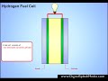 Hydrogen Fuel Cell