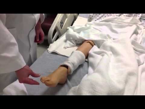 how to assess neurovascular status
