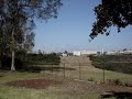 penny balboa dog park
