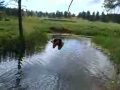 Backflip at Crazyhead Springs