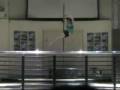 videos de My Pole Performance At The Really Wild Variety Show