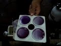CMT - Formação de gel espesso - Mastite subclínica