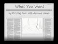 What You Want by DJ Maj Feat. 4th Avenue Jones