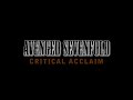Avenged Sevenfold - Critical Acclaim by SPeety