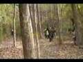 Woods Ball Paintball Country Star Warz
