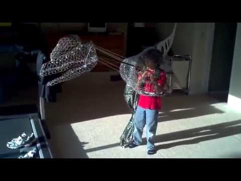 how to treat t rex arms