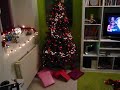 Sapin et Deco noel 2008