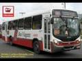 Ônibus de Salvador & R.M.S