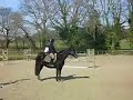 ilc et lizio de quevenmoi et lizio a cheval
