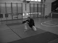 Ninjutsu, a collection of kata from Akban Ninjutsu, a collection of kata from Akban