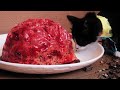 El gato que come cerebros humanos