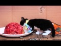 Please click on me to play my video!