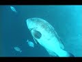 medes-islands-spain-part-2.html