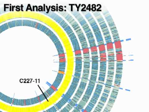 how to isolate and identify enteropathogen