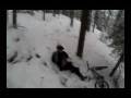 MTB: Lucia-fluff-knuff