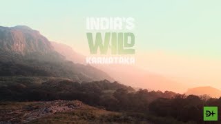 Exclusive Music Video  Wild Karnataka