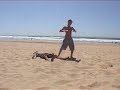 beachfight
