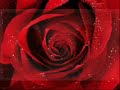 sade   and i miss you      original song  missing  