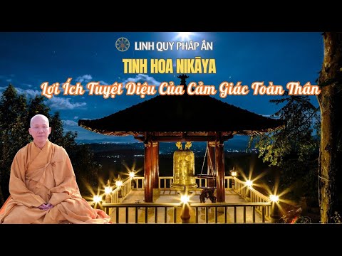 Tinh Hoa NIKAYA - Lợi Ích Tuyệt Diệu Của Cảm Giác Toàn Thân