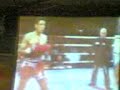 Ali Tornado vs Karapet 2th round Ali Tornado vs Karapet 2th round